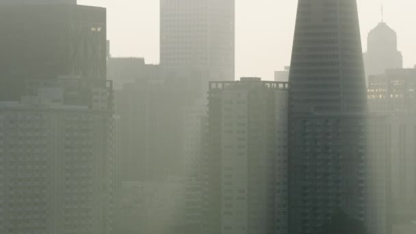 营火野火引起的空气烟雾污染 — 图库视频影像