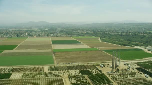Aerial view workers harvesting crops Oxnard Ventura California — Stock Video