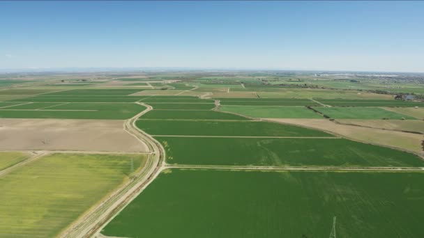 Aerial of crops farm land Central Valley — Stok Video