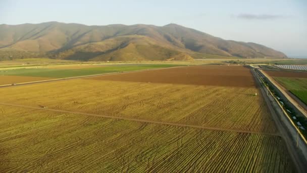 Воздушный обзор сельскохозяйственных культур готов к сбору урожая в США — стоковое видео