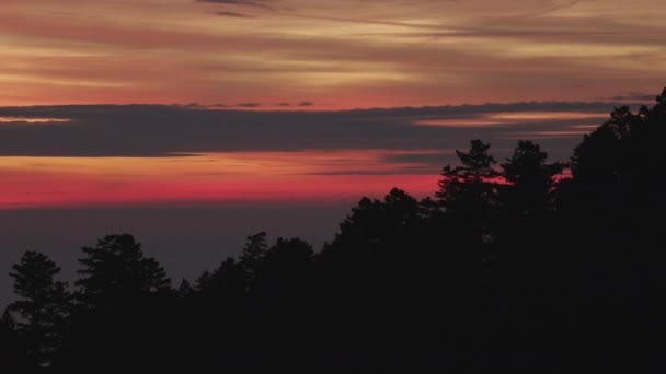 Luftaufnahme Abenddämmerung Himmel Sonnenuntergang Kiefern USA — Stockvideo