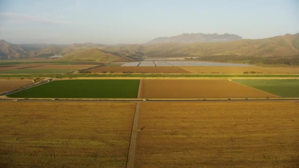 Luchtfoto geploegde velden en fruitgewassen USA — Stockvideo