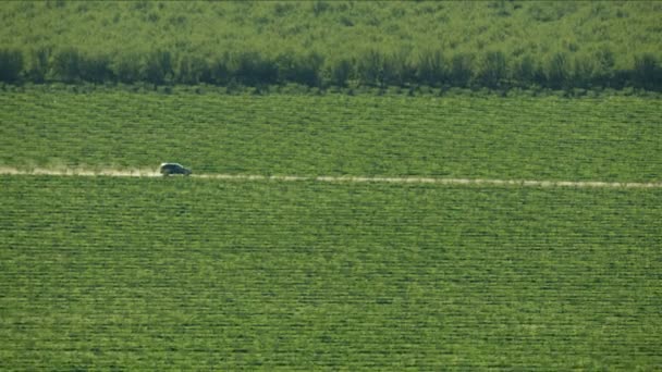 샌프란시스코의 농작물밭을 자동차로 통과하는 비행기 — 비디오