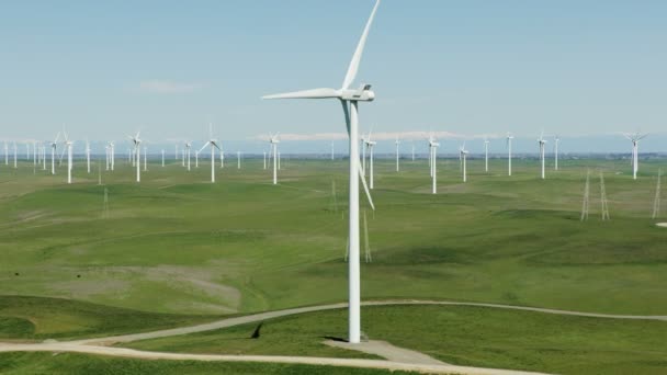 Antenne von Windkraftanlagen erneuerbare Energien San Francisco — Stockvideo