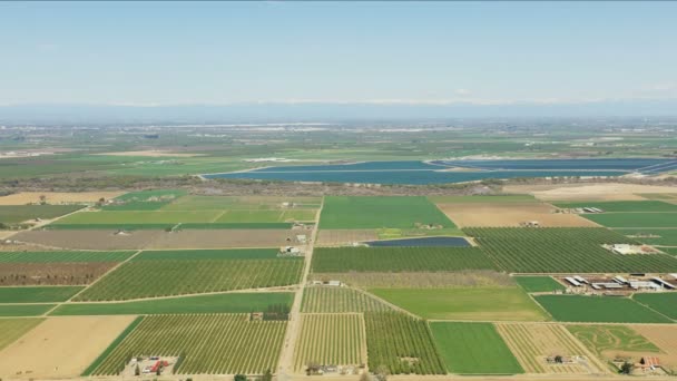 Areal av patchwork-avlinger - landskap med ferske produkter - USA – stockvideo