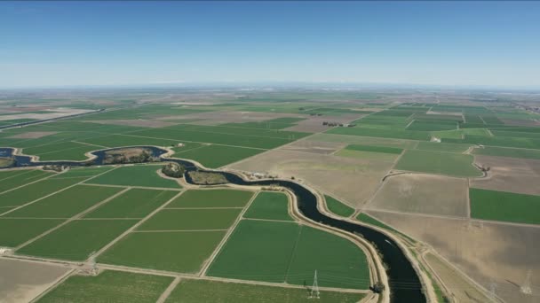 Aerial of tilkkutäkki viljely tuoretta ruokaa USA — kuvapankkivideo