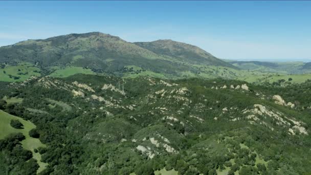 Aerial wzgórz wiecznie zielone drzewa San Francisco — Wideo stockowe