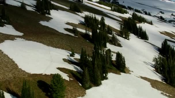 Vue aérienne région sauvage chaîne de montagnes Grand Teton — Video