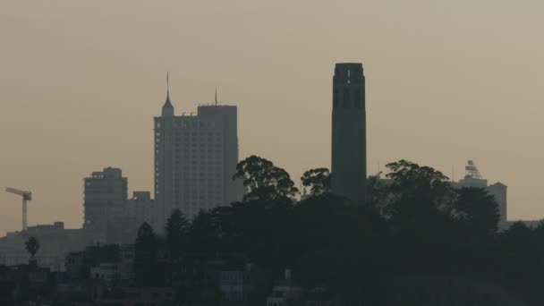 Flygfoto Coit Tower San Francisco California America — Stockvideo