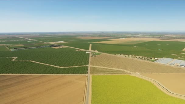 Areal av patchwork-avlinger - landskap med ferske produkter - USA – stockvideo