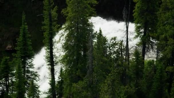 União aérea Falls Mountain Ash Creek Yellowstone EUA — Vídeo de Stock