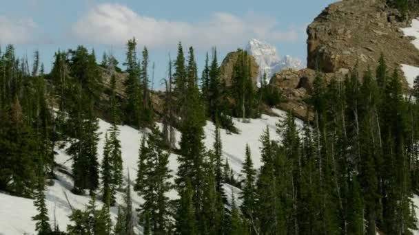 Chaîne de montagnes du Mont Moran Grand Teton USA — Video