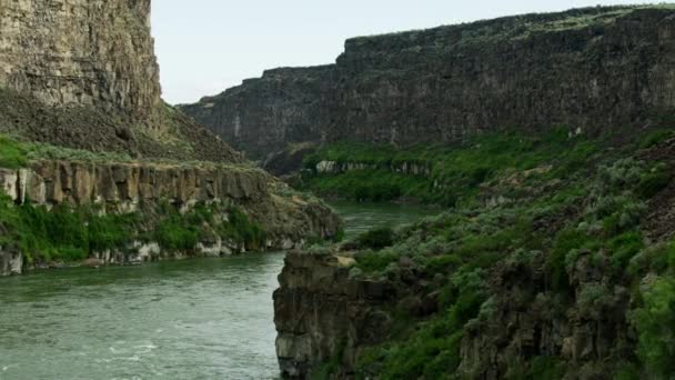 Hava manzaralı yeşil bitki örtüsü Yılan Nehri kanyonu ABD — Stok video