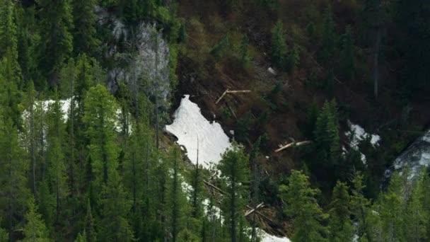 Vista aérea Mountain Ash Creek Yellowstone park USA — Vídeo de stock