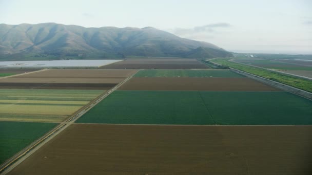 Vista aérea costera de los campos de cultivo Oxnard USA — Vídeo de stock