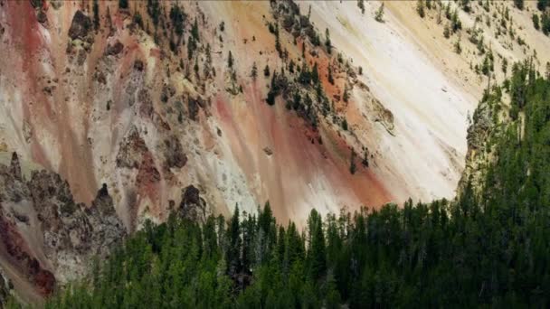 Widok z lotu ptaka Park Narodowy Yellowstone — Wideo stockowe