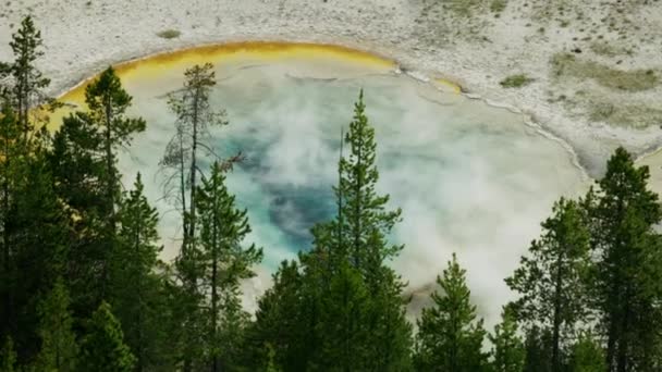 Aerial view mineral rich water Yellowstone Park Wyoming — стокове відео