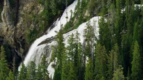 Vista aérea Mountain Ash Creek Yellowstone park USA — Vídeos de Stock