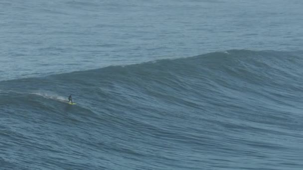 Aerial male surfer on big wave Mavericks USA — Stock Video