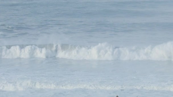 Gente aérea viendo grandes olas surfing evento Mavericks — Vídeos de Stock