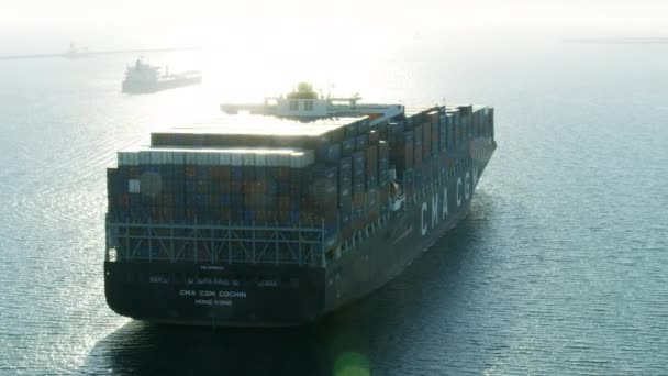 Aerial view loaded bulk carrier Americas Port LA — 图库视频影像