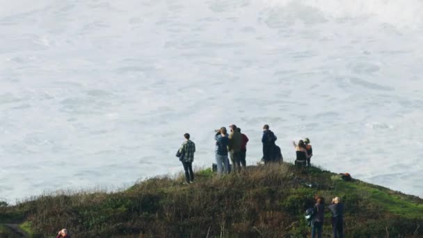 Antenni ihmiset katselevat suuria aaltoja surffailu Mavericks Yhdysvallat — kuvapankkivideo