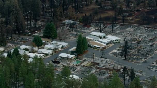 Aerial view scorched trees devastating forest Campfire wildfire — Stock Video