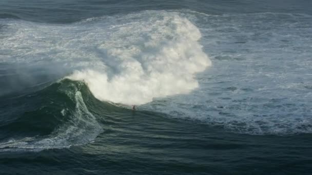 空中冲浪手骑波半个月湾小牛 — 图库视频影像