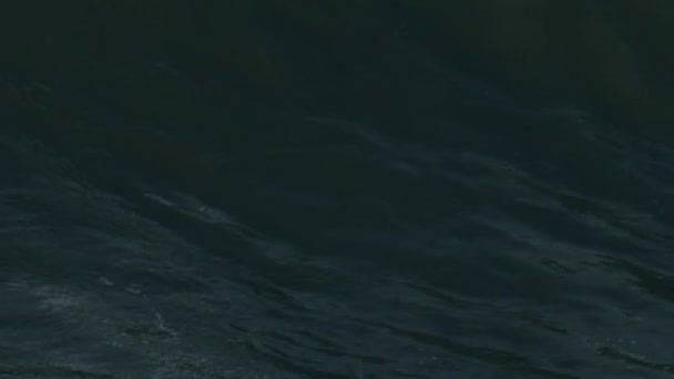美国大浪小牛的空中健美冲浪选手 — 图库视频影像