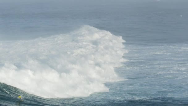美国大浪冲浪的空中自信冲浪者 — 图库视频影像