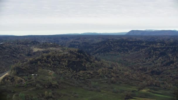 Luftbild verkohlte verbrannte Landschaft verwüstet Waldbrand — Stockvideo