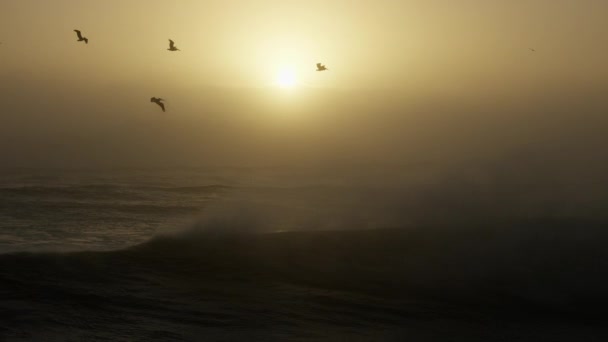 Wellenantenne bei Sonnenaufgang Mavericks California America — Stockvideo