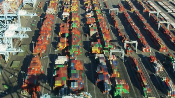 Грузовая контейнерная верфь Americas Port LA — стоковое видео