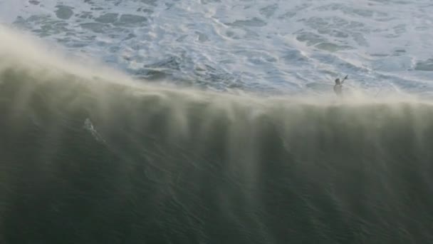 Vista aérea surfista en onda extrema Mavericks América — Vídeos de Stock