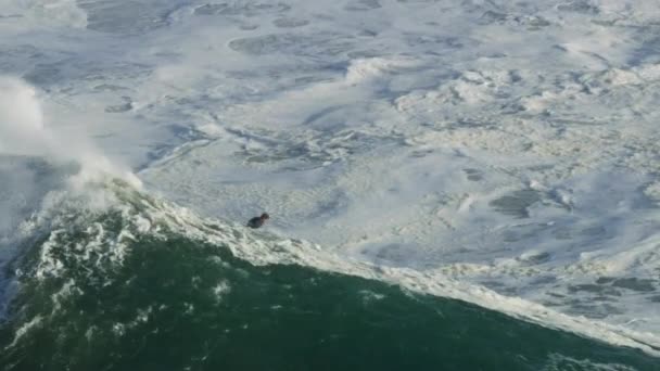 Aerial surfer riding huge wave Mavericks California America — Stock Video