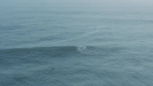 Повітряні серфери на змаганнях з серфінгу Mavericks America — стокове відео