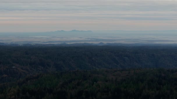 Vue aérienne du crépuscule forêt dense Paradise California USA — Video