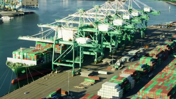 Widok z lotu ptaka masowiec Port of Los Angeles — Wideo stockowe