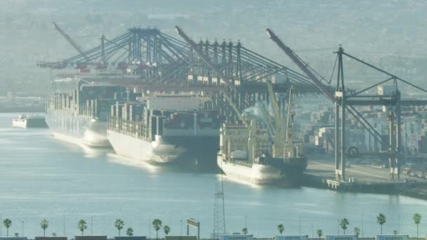 Letecké zobrazení nákladní lodě San Pedro Bay LA — Stock video