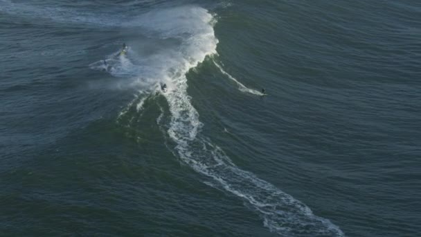 美国大浪冲浪的空中自信冲浪者 — 图库视频影像