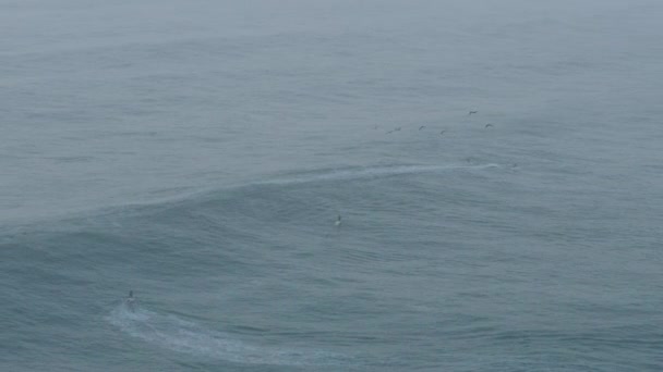 Surfistas aéreos en la superficie Pacific Ocean Mavericks USA — Vídeos de Stock