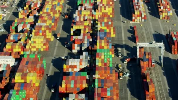Légi kilátás Port of Los Angeles konténerek — Stock videók