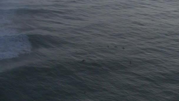 Повітряні серфери на поверхні Тихого океану Маверікс Америка — стокове відео