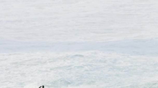 Gente aérea viendo olas grandes surfeando Mavericks USA — Vídeos de Stock