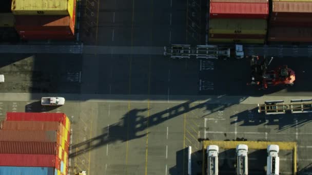Εναέρια εναέρια άποψη ναυτιλία εμπορευματοκιβωτίων ναυπηγείο Λος Άντζελες — Αρχείο Βίντεο
