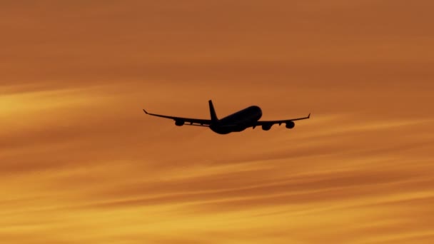 Sylwetka samolotu z widokiem z lotu ptaka o zachodzie słońca Los Angeles — Wideo stockowe