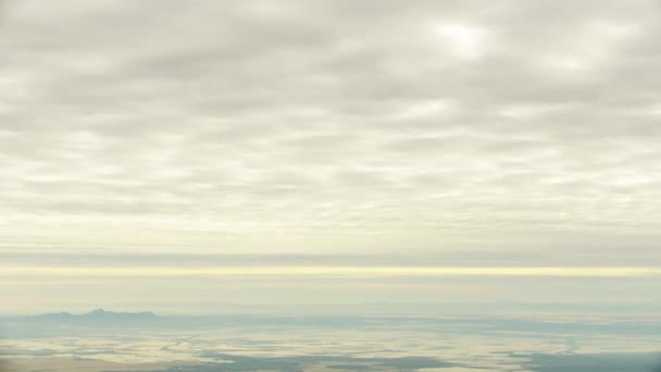 空中透视图天堂烧焦的树篝火野火 — 图库视频影像