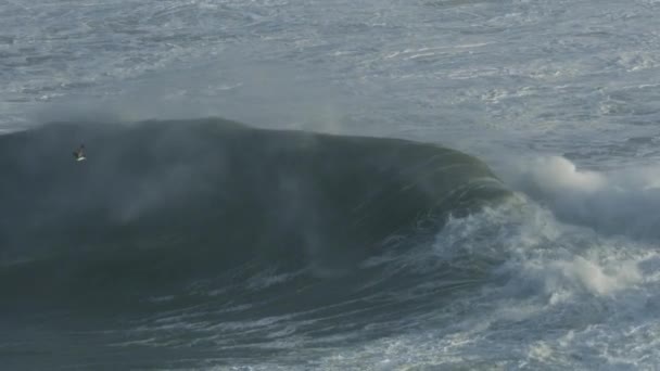 Luchtfoto van neerstortende golf Stille Oceaan Mavericks USA — Stockvideo