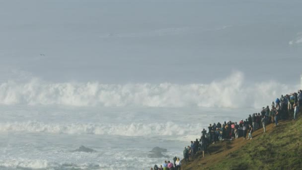 Gente aérea viendo olas grandes surfeando Mavericks America — Vídeos de Stock