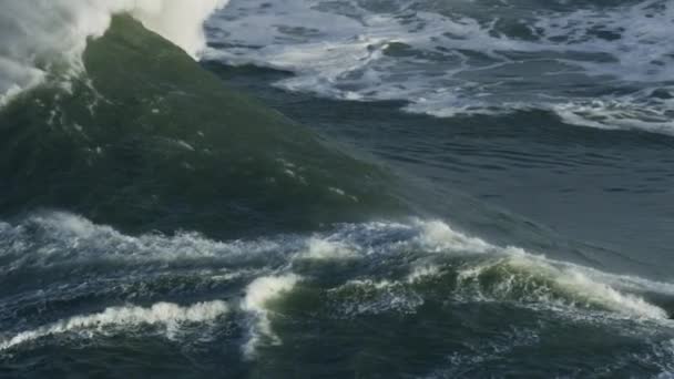 Aerial of surfer riding tube wave Mavericks États-Unis — Video